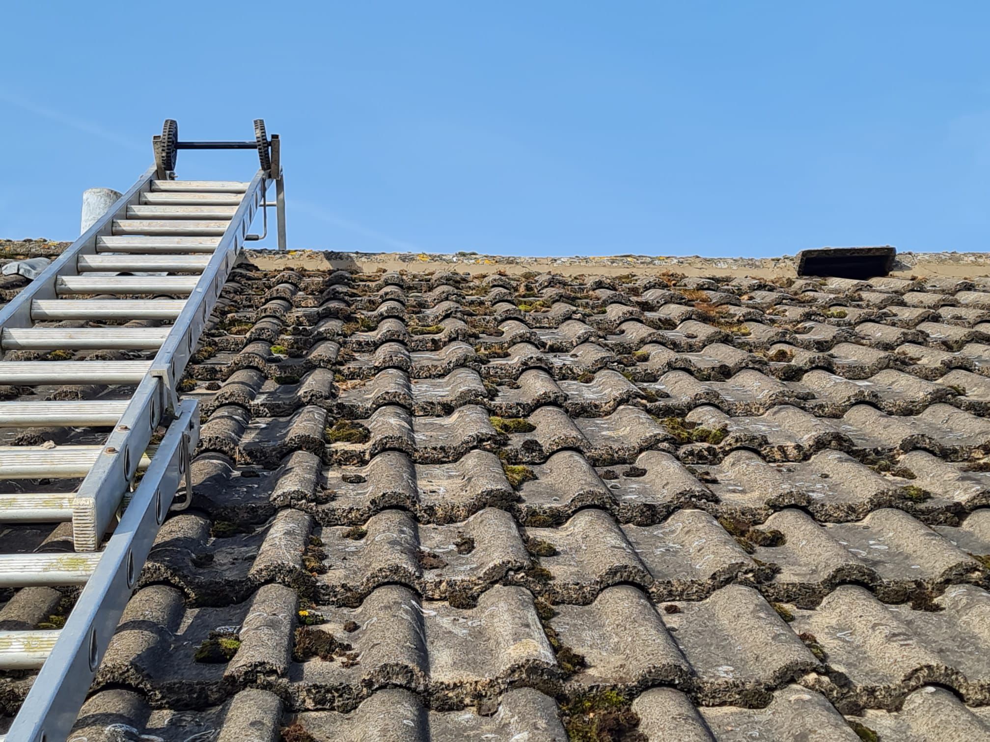Ladder on moss-covered roof tiles during inspection